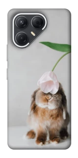 Чохол на TECNO Pova 7 Bunny фото 1 з 1