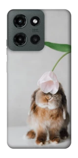 Чохол на Motorola Moto G Power (2025) Bunny фото 1 з 1