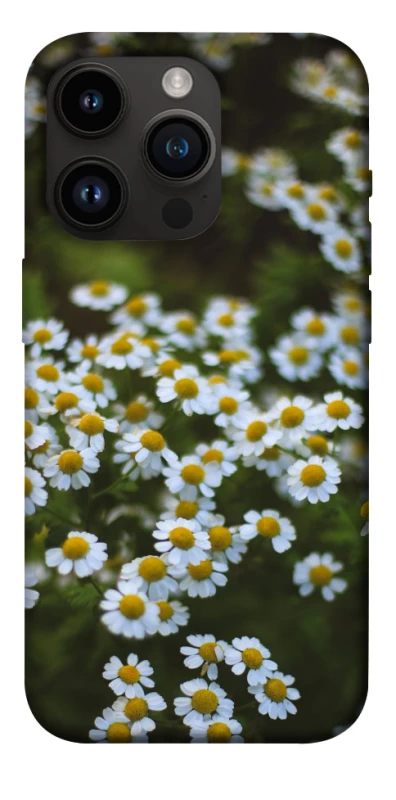 Чохол на Apple iPhone 14 Pro (6.1") Ромашки v13 фото 1 з 1