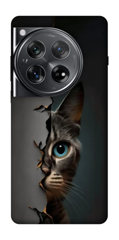 Чехол на OnePlus 12 Кот-подглядыватель v2 фото 1 из 1