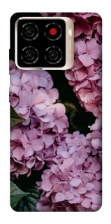 Чохол на ZTE Blade A56 Рожеві гартензії фото 1 з 1