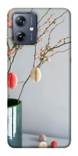 Чехол на Motorola Moto G54 Chicks фото 1 из 1