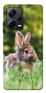 Чехол на Xiaomi Redmi Note 12 Pro 5G Кролики фото 1 из 1