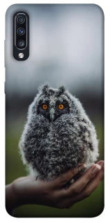 Чехол на Samsung Galaxy A70 (A705F) Совёнок фото 1 из 1