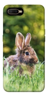 Чехол на OPPO A5 / A3S / AX5 / R15-NEO Кролики фото 1 из 1