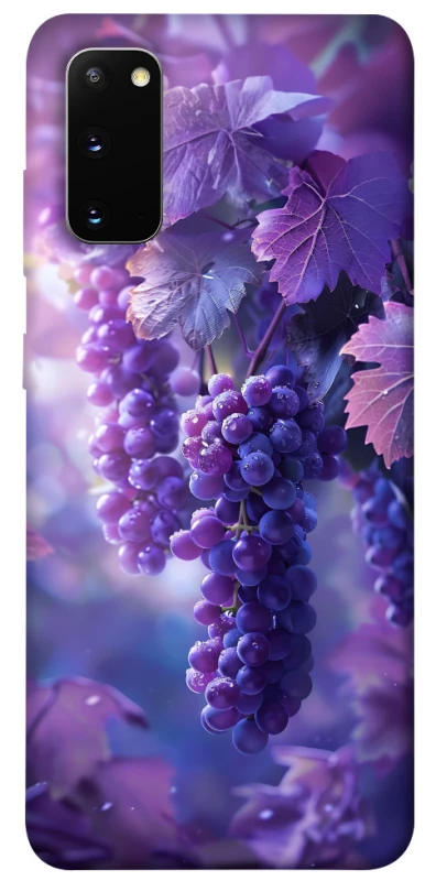Чехол на Samsung Galaxy S20 Bunch of grapes фото 1 из 1