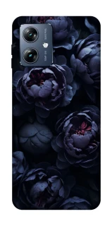 Чохол на Motorola Moto G54 Power Sunny Snowdrops фото 1 з 1