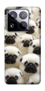 Чехол на Xiaomi 15 Pro Doggy Pug Love фото 1 из 1