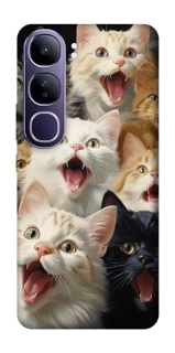 Чохол на Vivo Y300 Коти фото 1 з 1