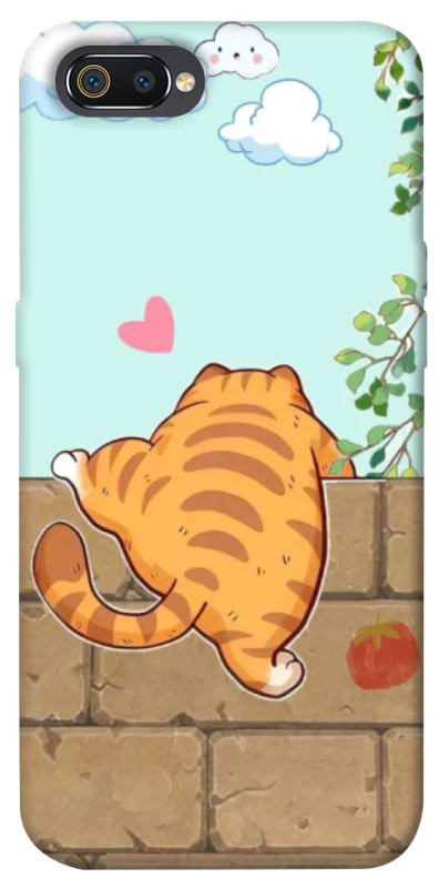 Чохол на Realme C2 Cat the meow фото 1 з 1