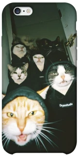Чехол на Apple iPhone 6/6s (4.7") Сatsss фото 1 из 1
