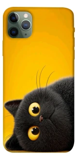 Чохол на Apple iPhone 11 Pro Max (6.5") This is Cat фото 1 з 1