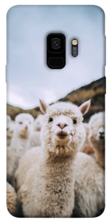 Чохол на Samsung Galaxy S9 Лама фото 1 з 1