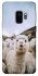 Чохол на Samsung Galaxy S9 Лама фото 1 з 1
