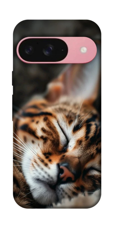 Чохол на Google Pixel 9 Cat paws фото 1 з 1