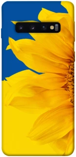Чехол на Samsung Galaxy S10 Sunflower фото 1 из 1