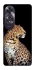 Чохол на Oppo A60 Leopard v2 фото 1 з 1