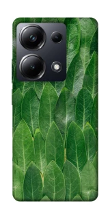 Чохол на Xiaomi Poco M6 Pro 4G Листя фото 1 з 1