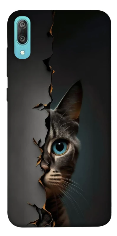 Чехол на Huawei Y6 Pro (2019) Кот-подглядыватель v2 фото 1 из 1