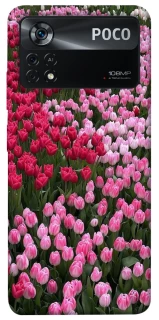 Чехол на Xiaomi Poco X4 Pro 5G Flowers v9 фото 1 из 1