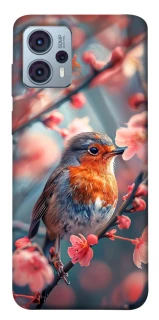 Чохол на Motorola Moto G23 Birdie фото 1 з 1