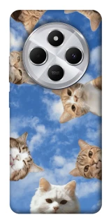 Чохол на Xiaomi Redmi 14C / Poco C75 Сats фото 1 з 1
