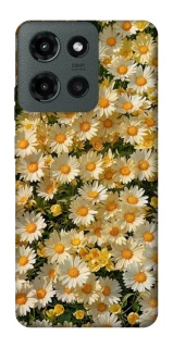 Чохол на Motorola Moto G Power (2025) Camomile фото 1 з 1