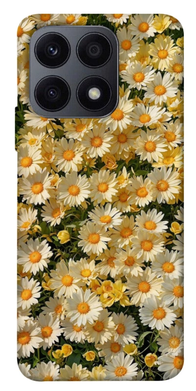 Чехол на Huawei Honor X8a Camomile фото 1 из 1