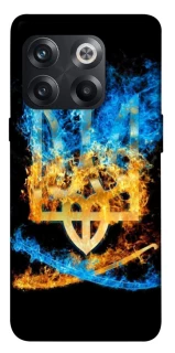 Чехол на OnePlus 10T Герб v16 фото 1 из 1