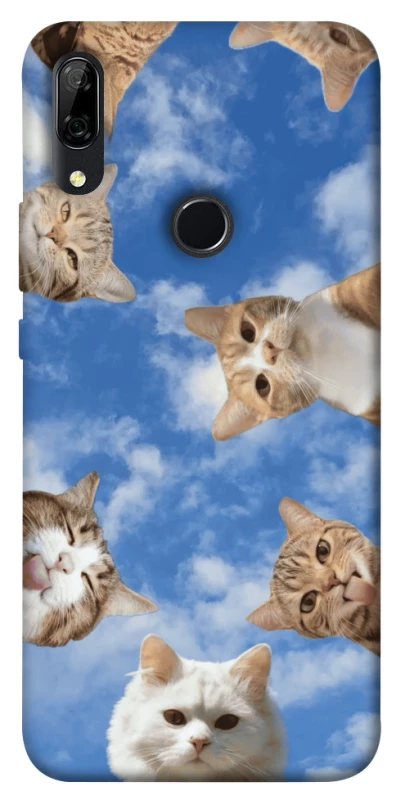 Чохол на Huawei P Smart Z Сats фото 1 з 1