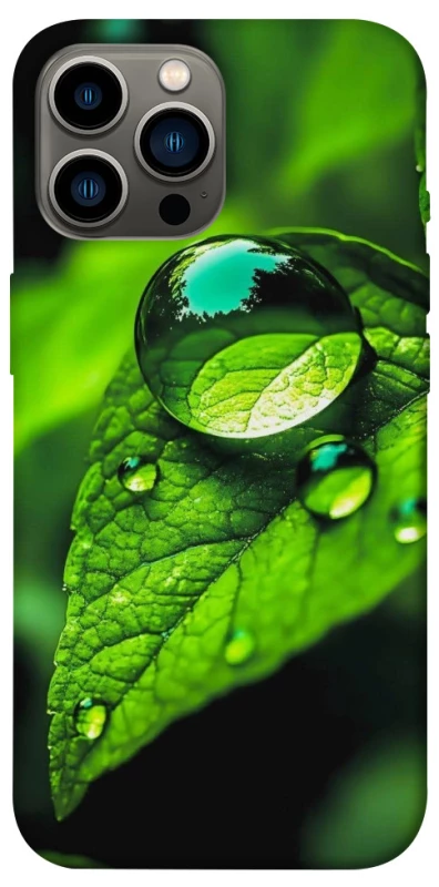 Чохол на Apple iPhone 13 Pro Max (6.7") Flowers v16 фото 1 з 1