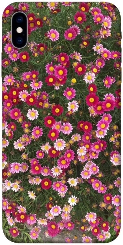 Чохол на Apple iPhone X (5.8") Flowers v8 фото 1 з 1