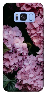 Чохол на Samsung G950 Galaxy S8 Рожеві гартензії фото 1 з 1