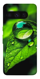 Чехол на Google Pixel 8 Pro Flowers v16 фото 1 из 1