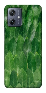 Чохол на Motorola Moto G54 Листя фото 1 Чохол на Motorola Moto G54 Листя фото 1 з 1