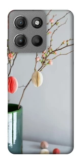 Чехол на Motorola Moto G15 4G Chicks фото 1 из 1