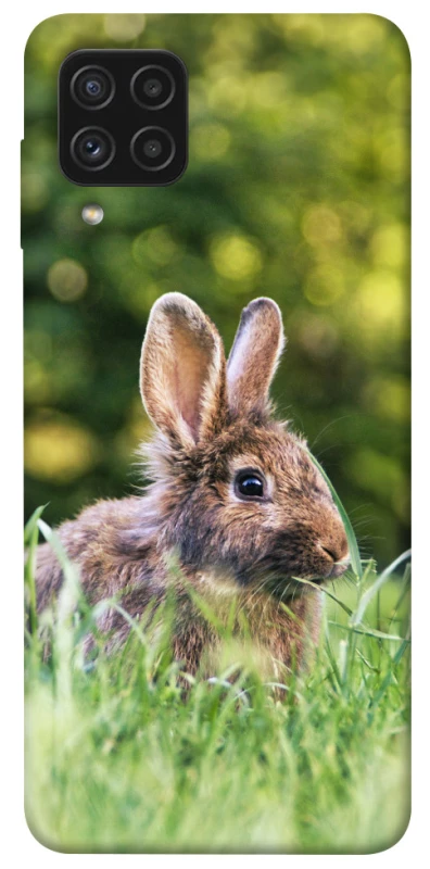 Чехол на Samsung Galaxy A22 4G Кролики фото 1 из 1