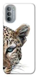 Чохол на Motorola Moto G31 Leopard Art v2 фото 1 з 1