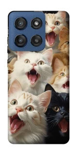 Чохол на Motorola Edge 60 Stylus Коти фото 1 з 1