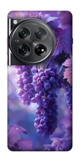 Чехол на OnePlus 12 Bunch of grapes фото 1 из 1