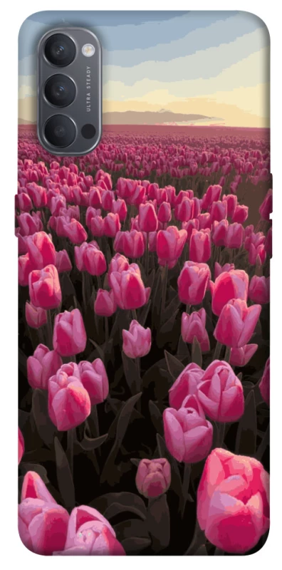 Чехол на Oppo Reno 4 Spring Awakening фото 1 из 1