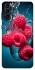 Чохол на Samsung Galaxy S21+ Малинка у воді фото 1 з 1