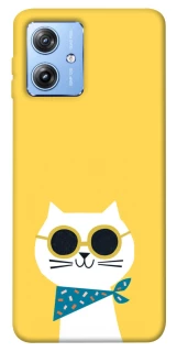 Чехол на Motorola Moto G84 Кот-муркот фото 1 из 1