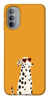 Чохол на Motorola Moto G31 Далматинець фото 1 з 1