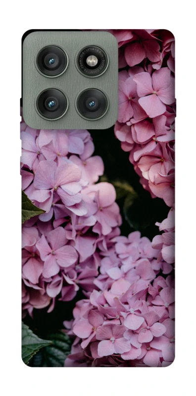 Чохол на Motorola Edge 60 Pro Рожеві гартензії фото 1 з 1