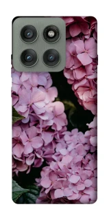 Чохол на Motorola Edge 60 Pro Рожеві гартензії фото 1 з 1