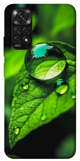 Чехол на Xiaomi Redmi Note 11 (Global) / Note 11S Flowers v16 фото 1 из 1