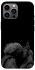 Чехол на Apple iPhone 12 Pro Max (6.7") House of the Dragon ver.8 фото 1 из 1