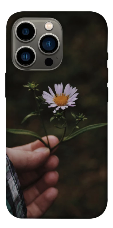 Чехол на Apple iPhone 13 Pro (6.1") Ромашка v4 фото 1 из 1