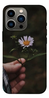 Чехол на Apple iPhone 13 Pro (6.1") Ромашка v4 фото 1 из 1